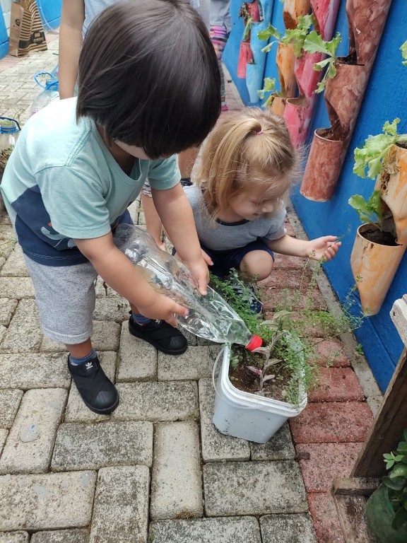 Crianças do Infantil de BC desenvolvem projeto de preparo, plantio e colheita