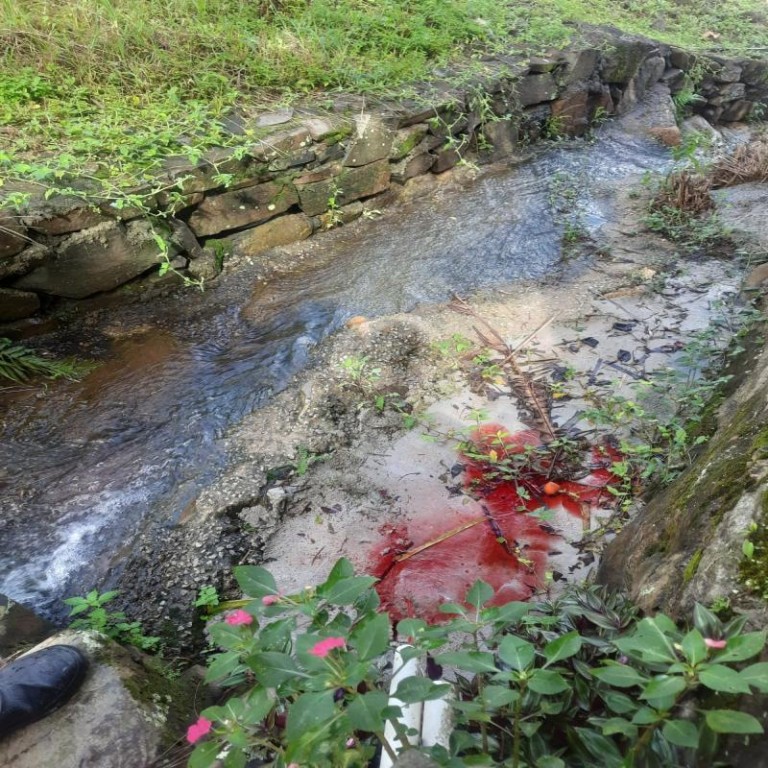 PACTO: Blitz Sanear flagra descarte de esgoto em cachoeira e autua responsáveis no Ribeirão da Ilha