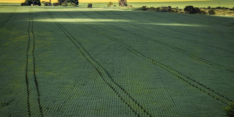 Estudo aponta desafios do seguro rural em meio a mudanças climáticas