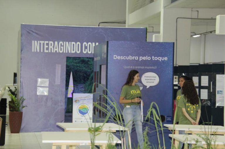 Espaço Univali tem mais de 500m² de exposições e atividades na Vila da Regata de Itajaí