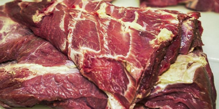 Rússia retira embargo à importação de carne bovina brasileira