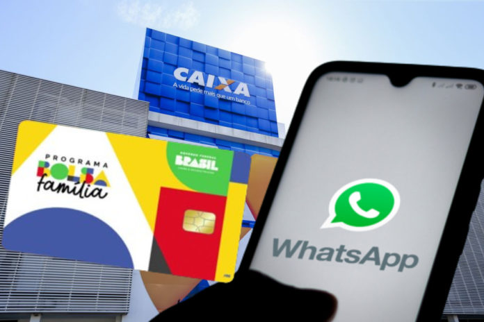 Beneficiários do Bolsa Família podem consultar informações pelo WhatsApp da Caixa; confira