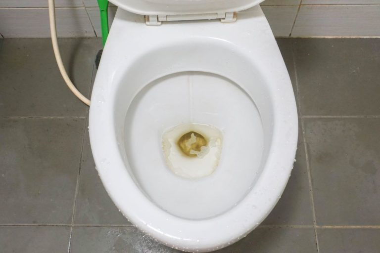 Elimine a ferrugem do vaso sanitário sem água sanitária: O guia completo