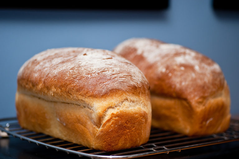 Receita de Pão de Liquidificador: O toque caseiro que faltava no seu Café da Manhã